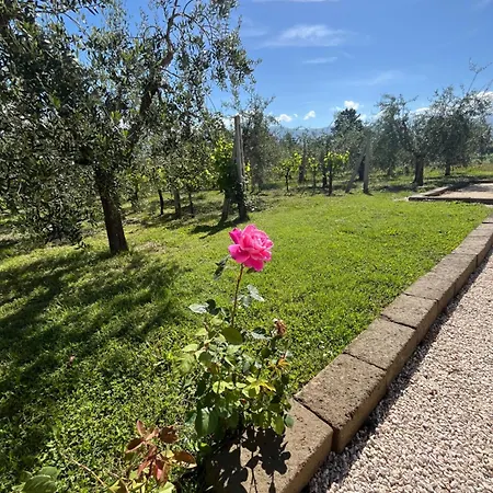 Casa Stefano *
