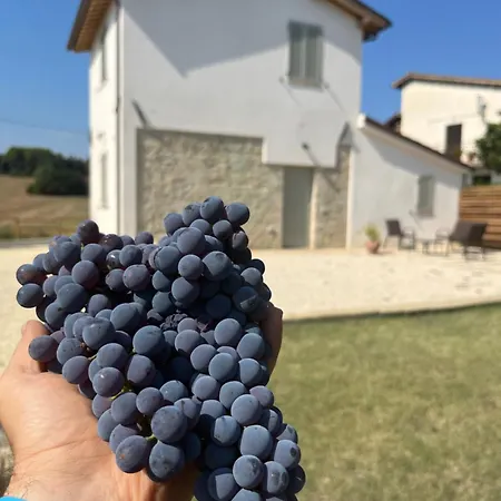 Casa Stefano *