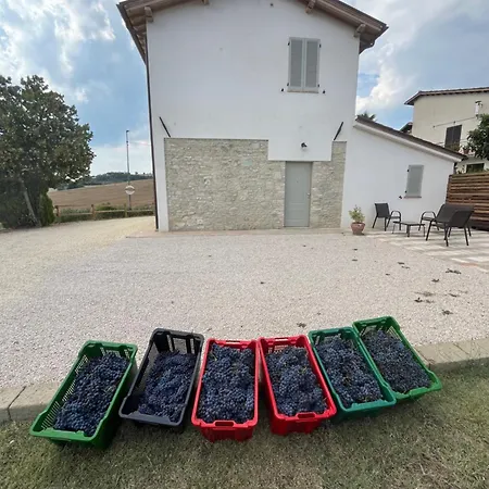 Casa Stefano