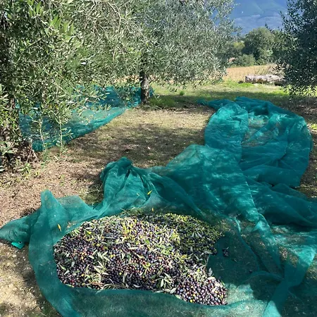 بيت للعطل Casa Stefano *