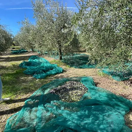 Casa Stefano Feriehus *