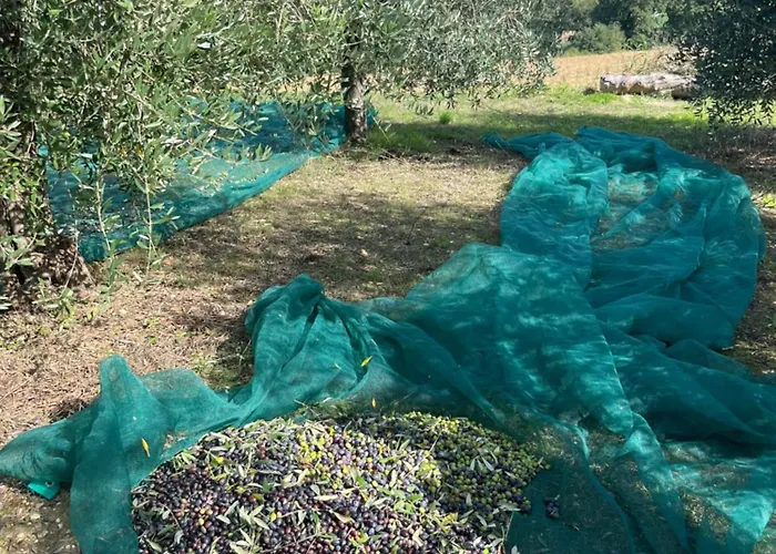 Casa de Férias Casa Stefano *