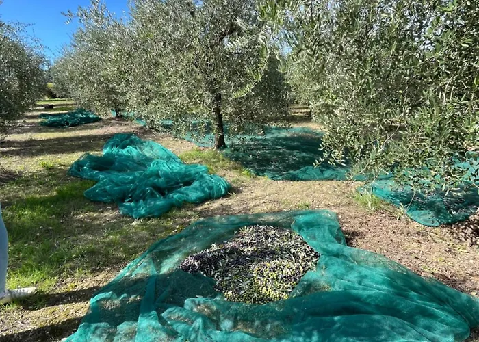 Casa Stefano Casa de Férias *